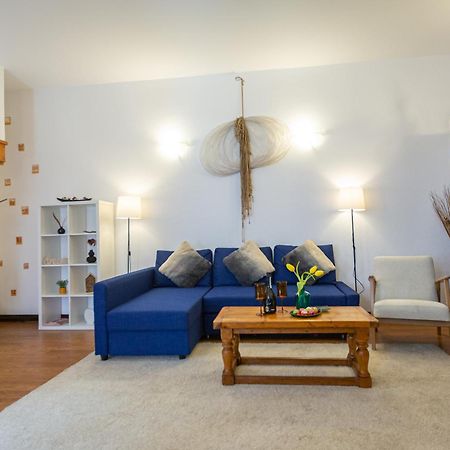 Dream Guesthouse ブラショフ エクステリア 写真