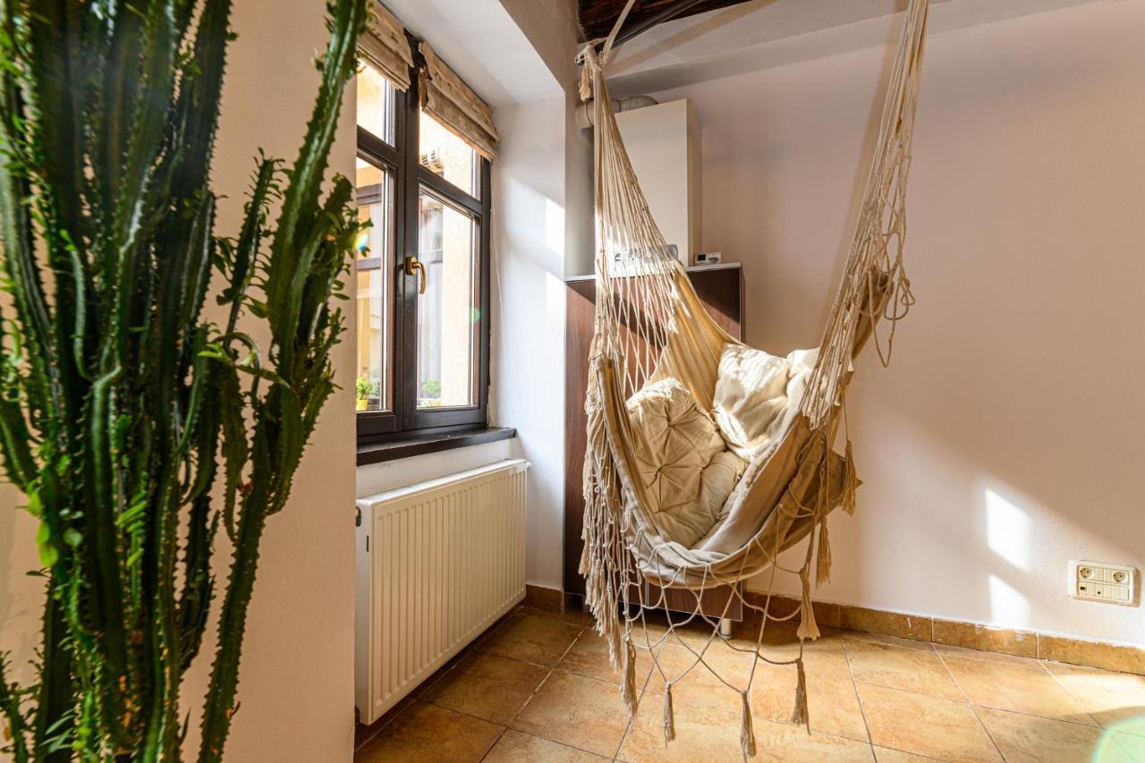 Dream Guesthouse ブラショフ エクステリア 写真