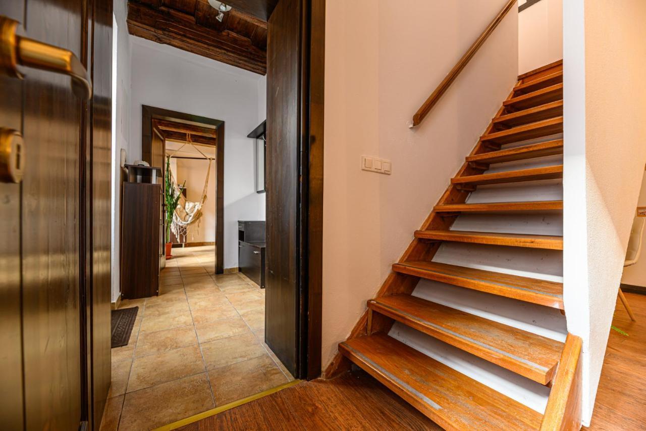 Dream Guesthouse ブラショフ エクステリア 写真