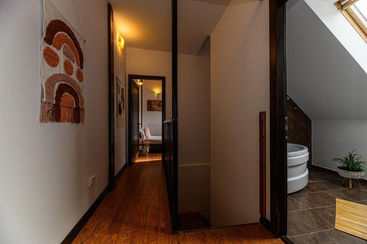 Dream Guesthouse ブラショフ エクステリア 写真