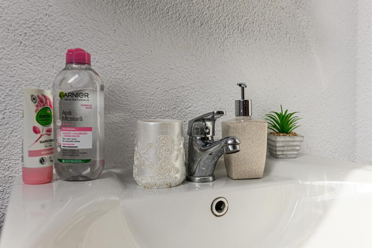 Dream Guesthouse ブラショフ エクステリア 写真