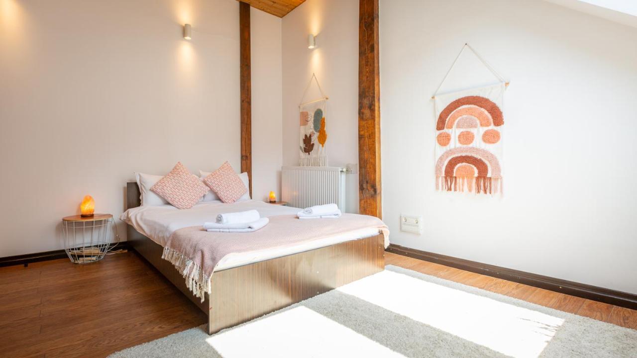 Dream Guesthouse ブラショフ エクステリア 写真
