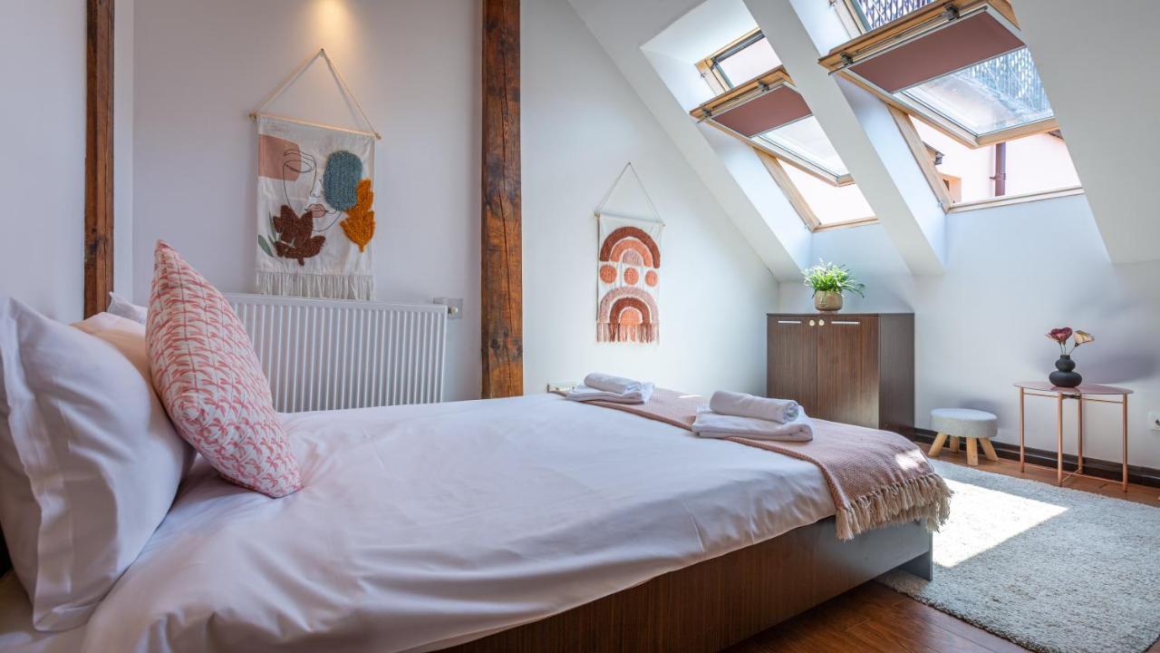 Dream Guesthouse ブラショフ エクステリア 写真