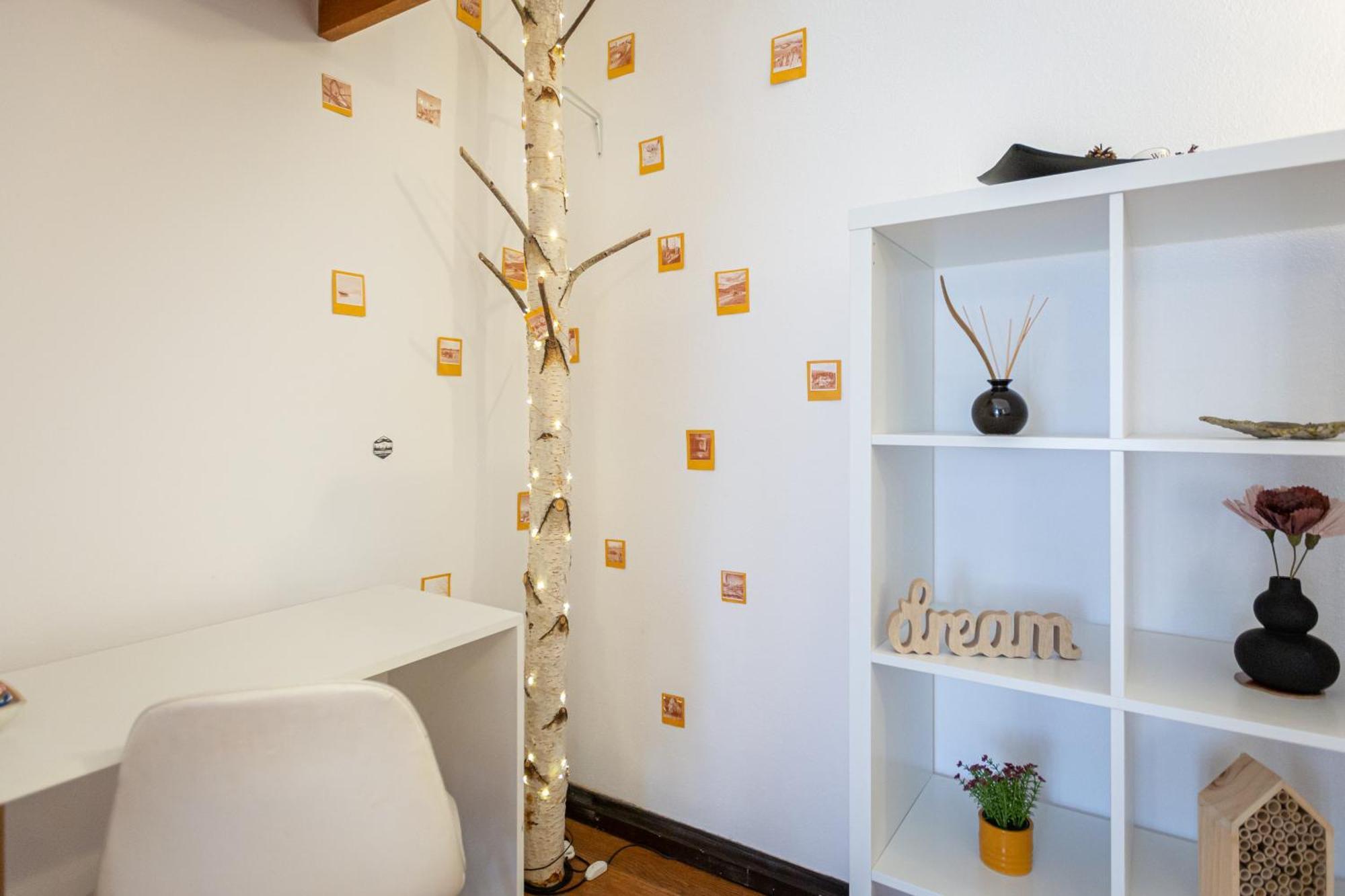 Dream Guesthouse ブラショフ エクステリア 写真