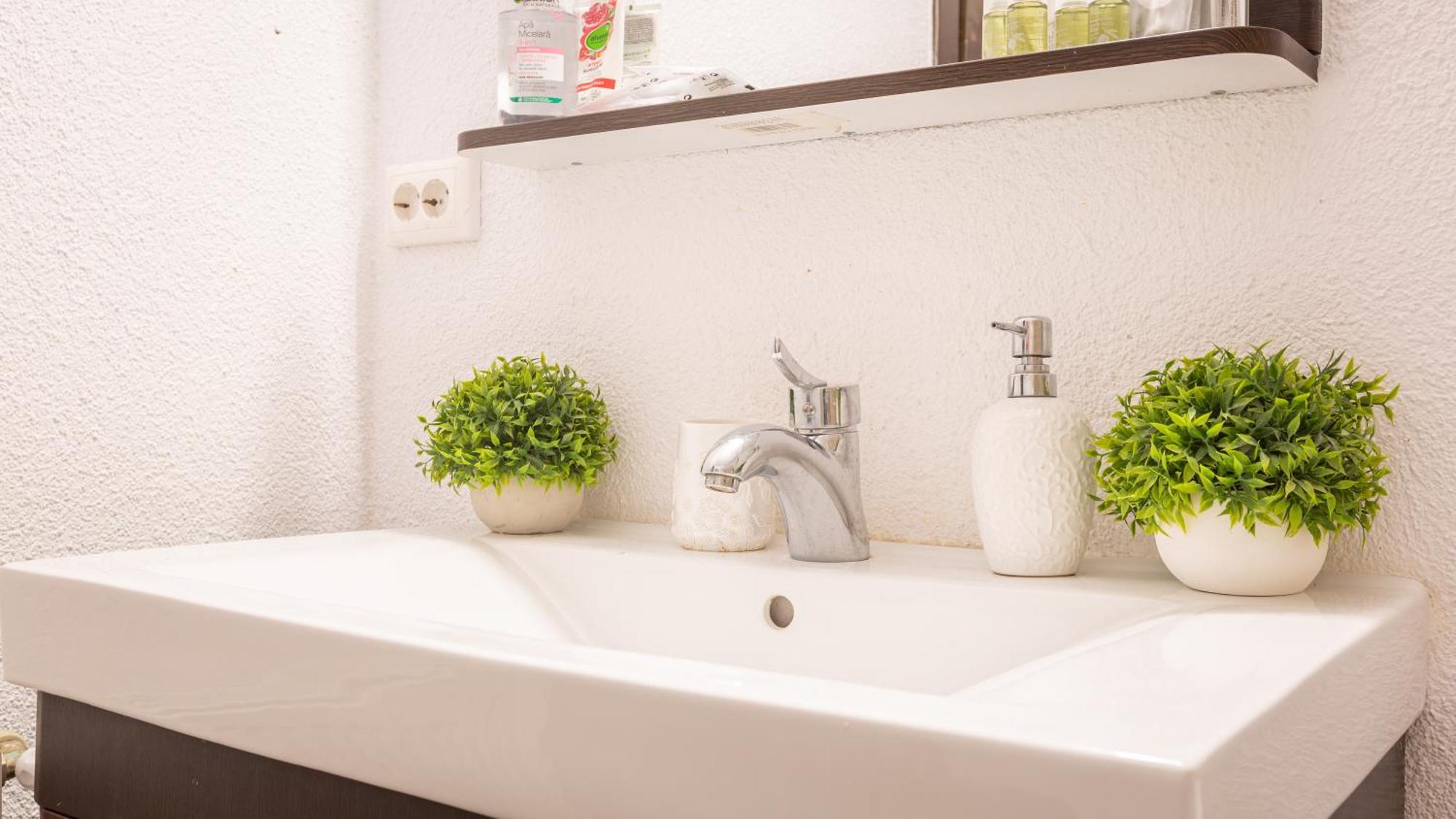 Dream Guesthouse ブラショフ エクステリア 写真