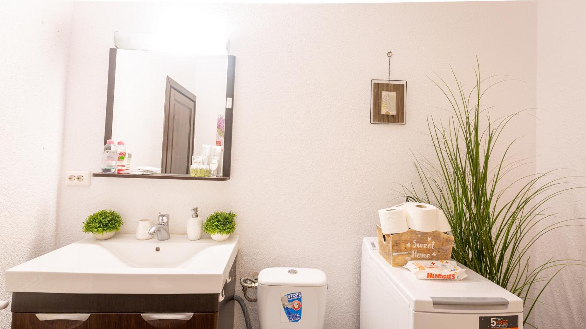 Dream Guesthouse ブラショフ エクステリア 写真
