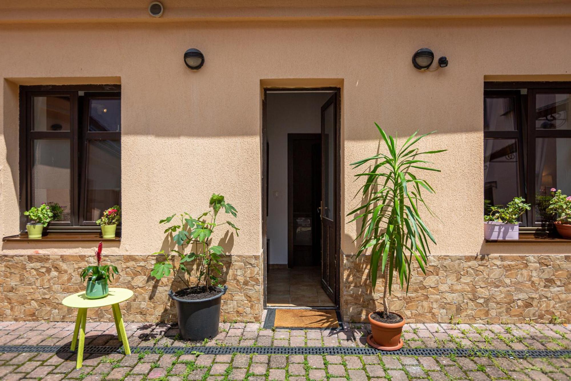 Dream Guesthouse ブラショフ エクステリア 写真