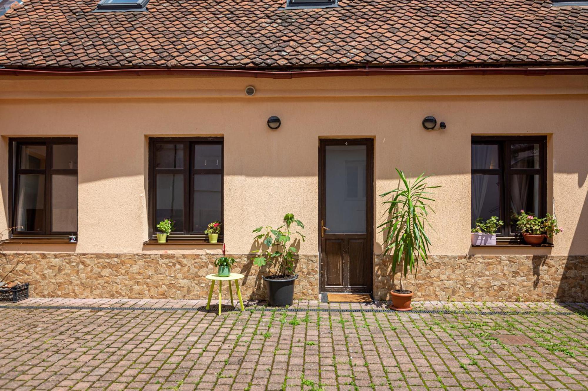 Dream Guesthouse ブラショフ エクステリア 写真